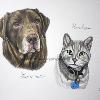 Dog & cat portrait 4