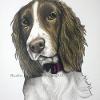 Dog portrait 107