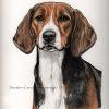 Dog portrait 116