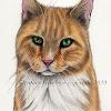 Cat portrait 16