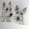 Dog portrait 517