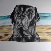 Dog portrait 531