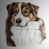 Dog portrait 569