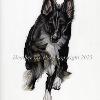 Dog portrait 540