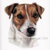 Dog portrait 522