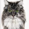 Cat portrait 28