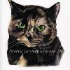 Cat portrait 29