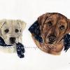 Dog portrait 516