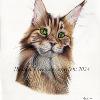 Cat portrait 26