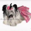 Dog portrait 532